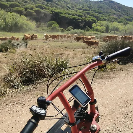 Bed & Breakfast Casa Fidal 3*